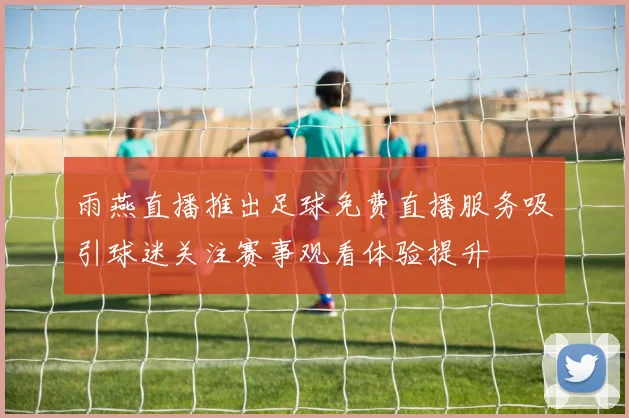 雨燕直播推出足球免费直播服务吸引球迷关注赛事观看体验提升