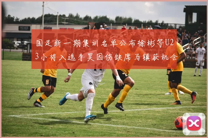 国足新一期集训名单公布徐彬等U23小将入选李昊因伤缺席马镇获机会
